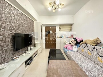 新站歐洲麗緻區待售房屋