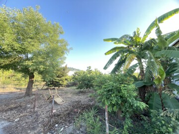 岡山區待售房屋