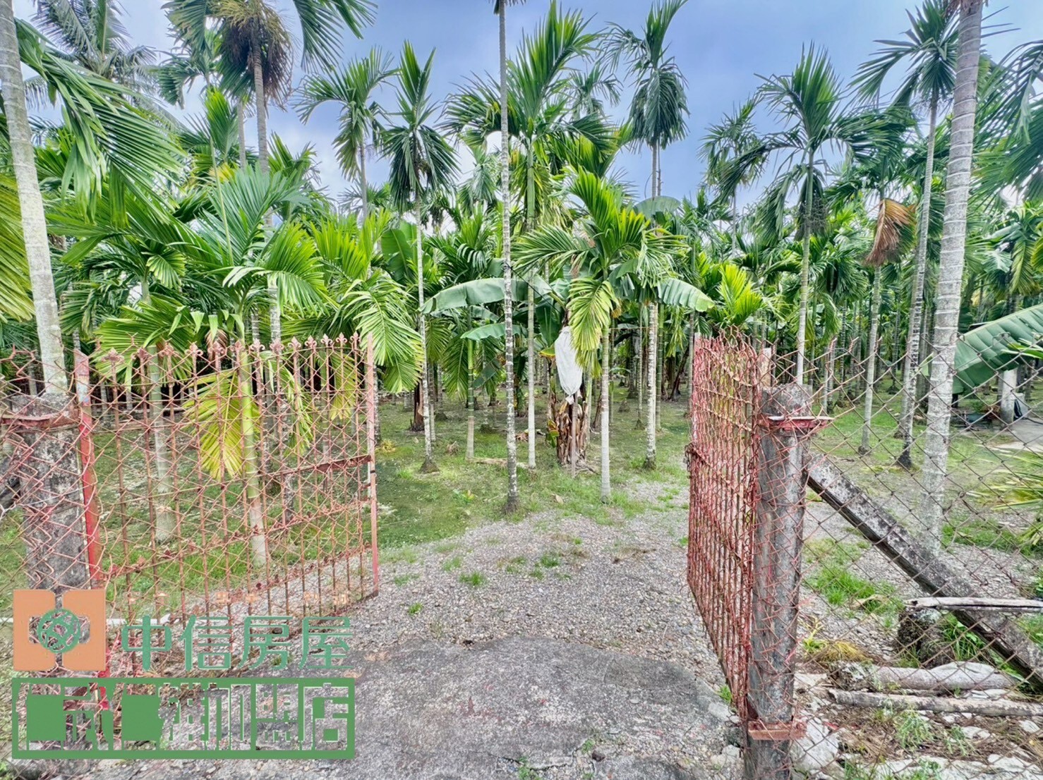 ■獨家專約□內埔美和科大農地■