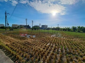清水區待租房屋