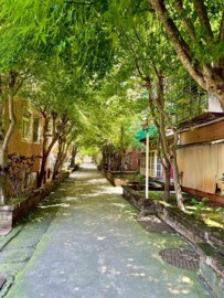 樂屋_興達大鎮待售房屋 興達大鎮待售房屋