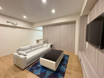 東方巴黎待售房屋