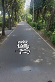 平鎮區待售房屋