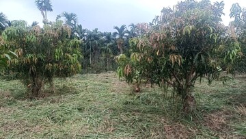 萬巒鄉待售房屋
