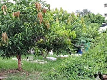 斗南鎮待售房屋