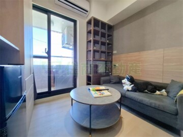 麗園道待售房屋