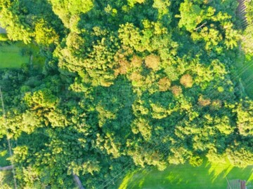 南庄鄉待售房屋