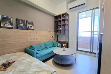 麗園道待售房屋