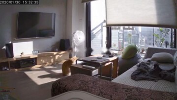 綻/椰林綻待售房屋