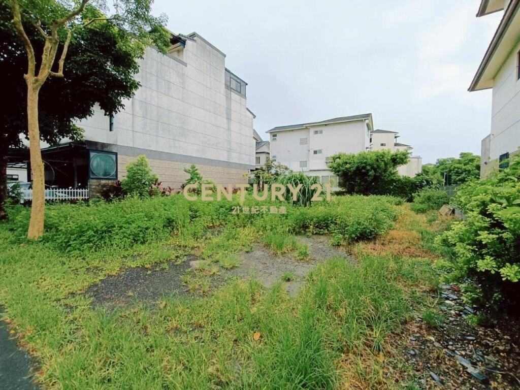 BD688宜蘭縣政特區百坪稀有方正建地