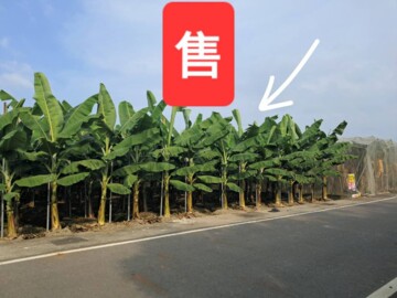 美濃區待售房屋