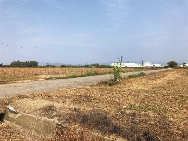 善化茄拔2.4分便宜農地