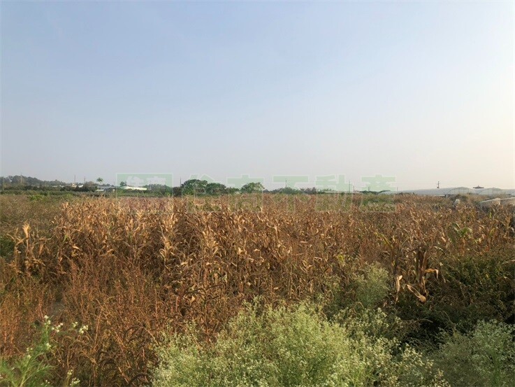 新市大社3.6分聚財農地