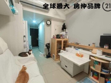 瓏山林新板時尚待售房屋