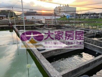 樂屋_潮州鎮待租房屋 潮州鎮待租房屋