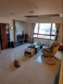 樂屋_臻星待售房屋 臻星待售房屋