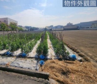 樂屋_仁武區待售房屋 仁武區待售房屋
