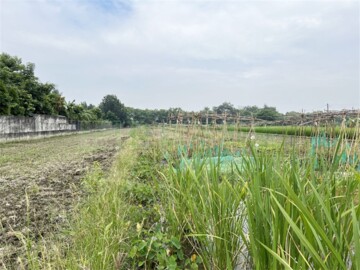 西區興嘉旁小筆農地