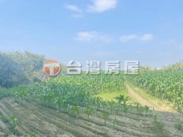 樂屋_下營區待售房屋 下營區待售房屋