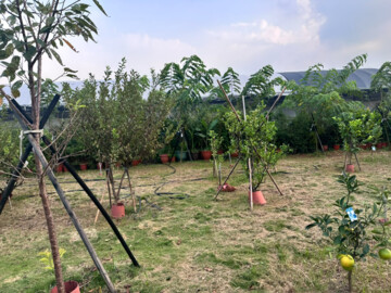 大溪區待售房屋