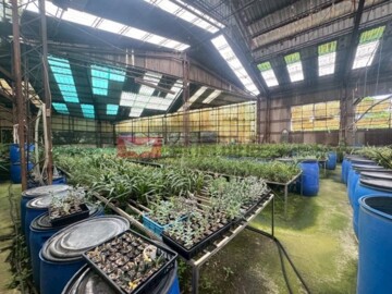 樂屋_苗栗市待售房屋 苗栗市待售房屋