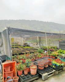 大溪區待售房屋