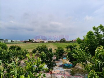 莿桐鄉待售房屋