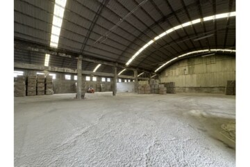 鶯歌區待租房屋