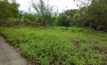 中埔鄉待售房屋