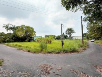 新化區待售房屋