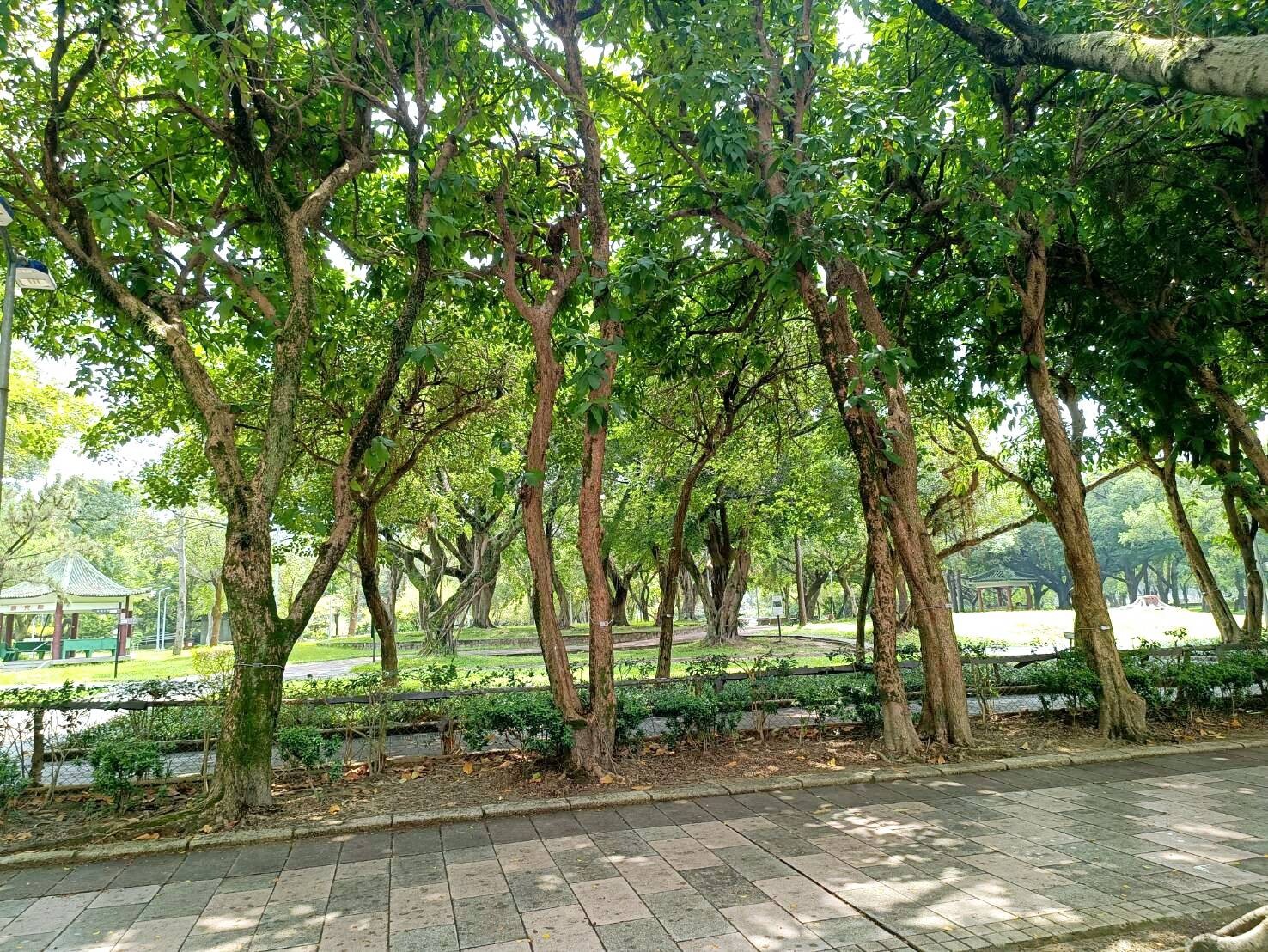 樂屋_台北市萬華區青年新城國宅待售房屋 台北市萬華區青年新城國宅待售房屋