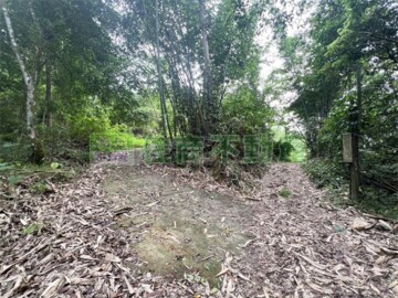 白河區待售房屋