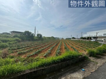 清水區待售房屋
