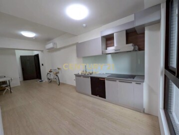 皇凱之星待售房屋