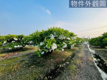 南州鄉待售房屋