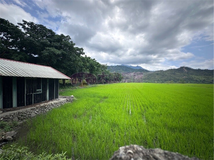 鹿野鄉村小屋農地