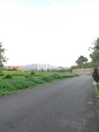 大溪區待售房屋