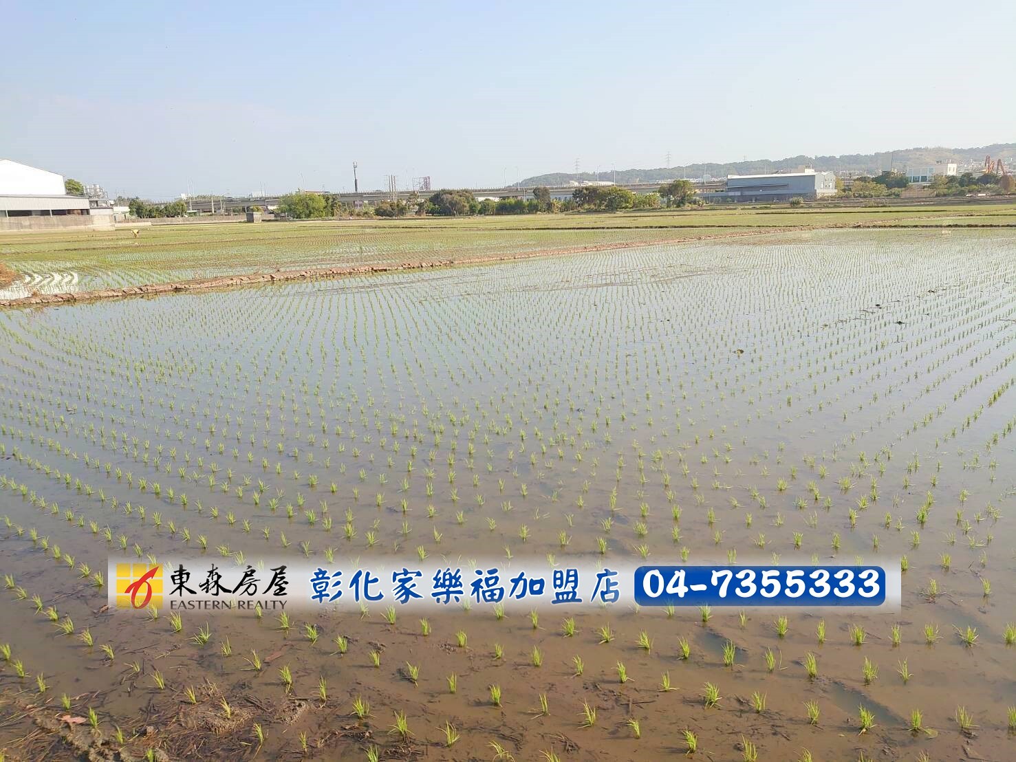 彰化市⭐️*東區持分美田*❤️
