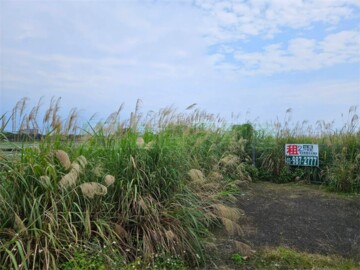 礁溪鄉待租房屋