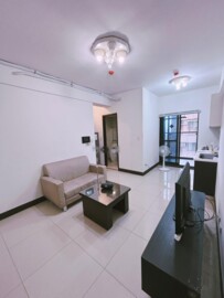 文山藏美/藏美ONE待售房屋