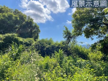 苗栗市待售房屋