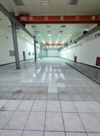 合法【龍潭工業廠房-腹地停車-有天車 - Image 1
