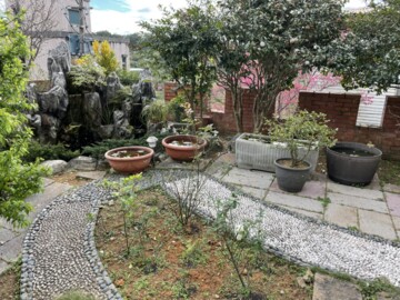 樂屋_淡水區待售房屋 淡水區待售房屋