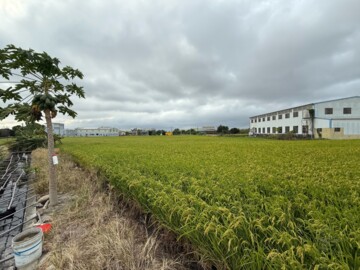 后里區待售房屋