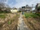 中豐路小農地