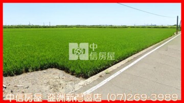 屏東南州鄉方正農地