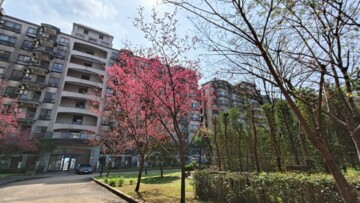 樂屋_綠灣待售房屋 綠灣待售房屋