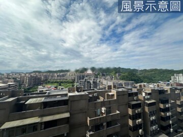 帝榮富麗陶園透天區/極境透天區待售房屋