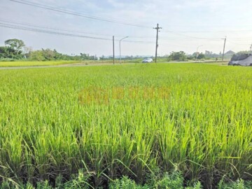 白河區待售房屋