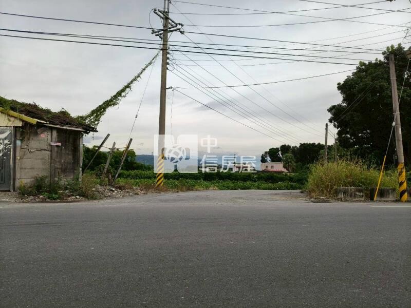 田中興酪路旁田地